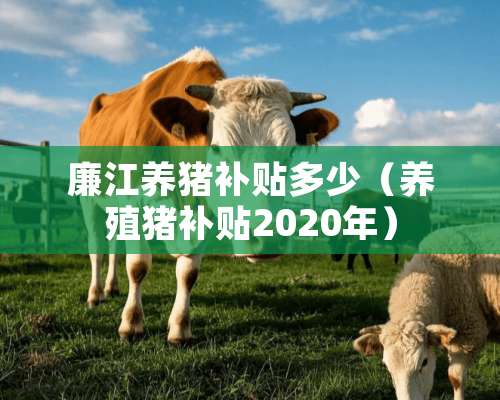 廉江养猪补贴多少（养殖猪补贴2020年）