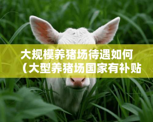 大规模养猪场待遇如何（大型养猪场国家有补贴吗）