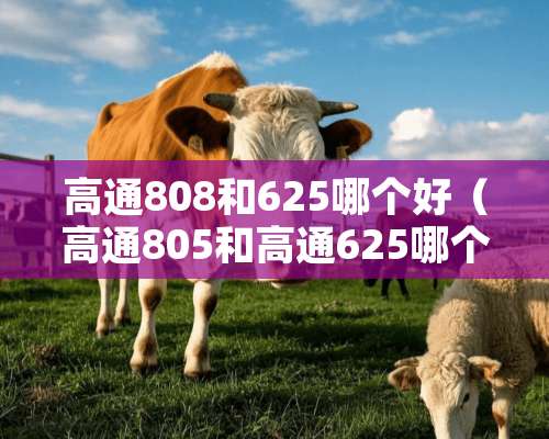 高通808和625哪个好（高通805和高通625哪个好）