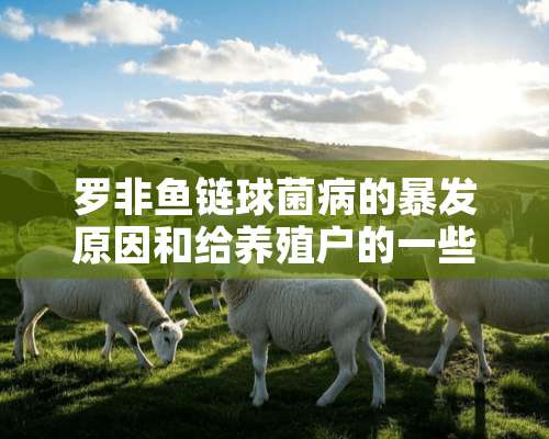 罗非鱼链球菌病的暴发原因和给养殖户的一些建议