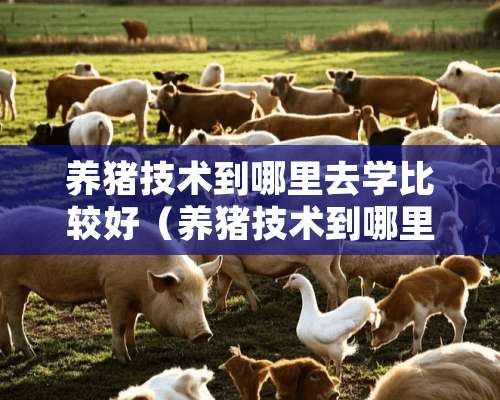 养猪技术到哪里去学比较好（养猪技术到哪里去学比较好呢）