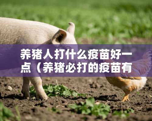 养猪人打什么疫苗好一点（养猪必打的疫苗有哪些）