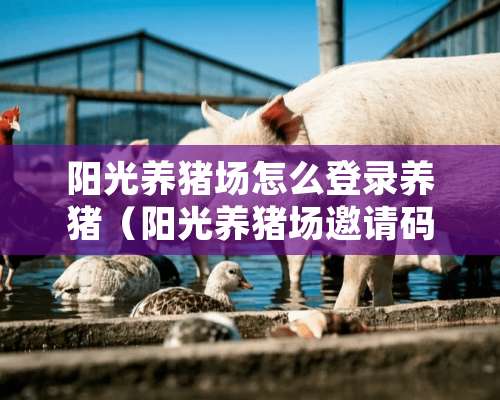 阳光养猪场怎么登录养猪（阳光养猪场邀请码也是374 303 216）