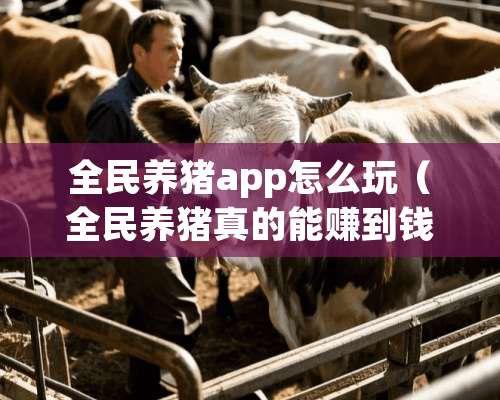 全民养猪app怎么玩（全民养猪真的能赚到钱吗）