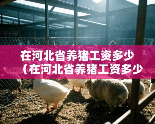 在河北省养猪工资多少（在河北省养猪工资多少钱一个月）