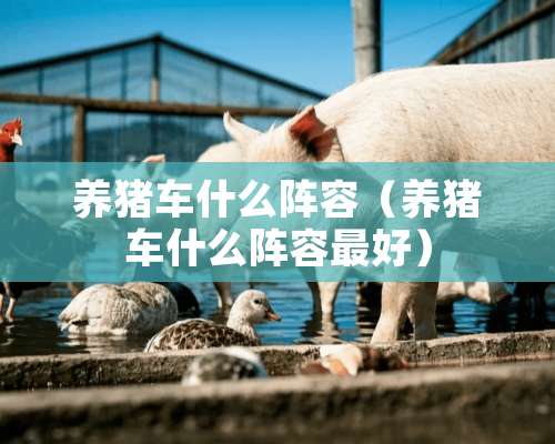 养猪车什么阵容（养猪车什么阵容最好）