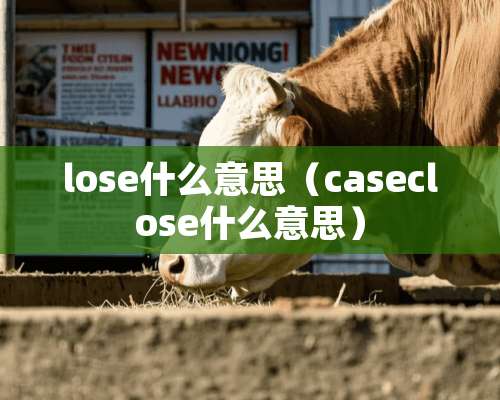 lose什么意思（caseclose什么意思）