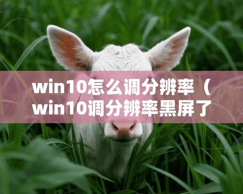 win10怎么调分辨率（win10调分辨率黑屏了怎么办）