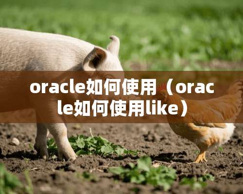 oracle如何使用（oracle如何使用like）