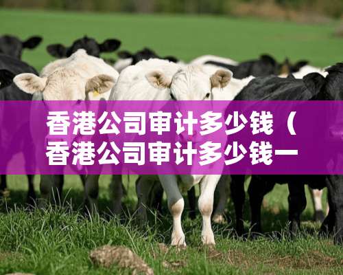 香港公司审计多少钱（香港公司审计多少钱一个月）