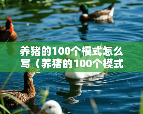 养猪的100个模式怎么写（养猪的100个模式怎么写文案）