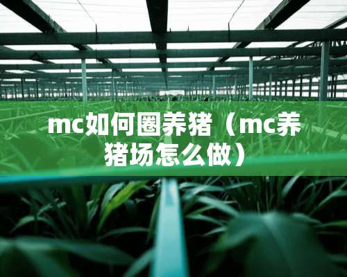 mc如何圈养猪（mc养猪场怎么做）