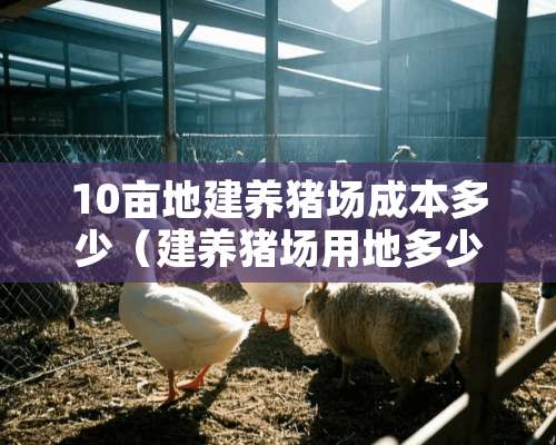 10亩地建养猪场成本多少（建养猪场用地多少钱一亩）