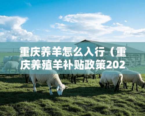 重庆养羊怎么入行（重庆养殖羊补贴政策2020）