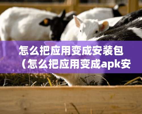 怎么把应用变成安装包（怎么把应用变成apk安装包）