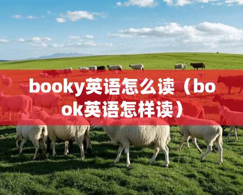 booky英语怎么读（book英语怎样读）