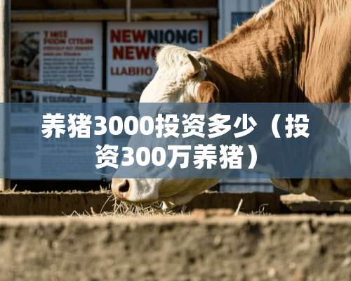 养猪3000投资多少（投资300万养猪）