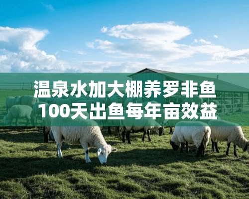 温泉水加大棚养罗非鱼 100天出鱼每年亩效益过万元