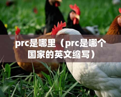 prc是哪里（prc是哪个国家的英文缩写）