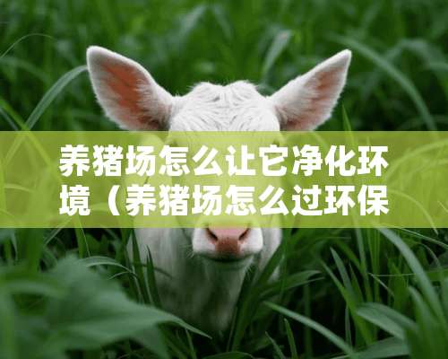 养猪场怎么让它净化环境（养猪场怎么过环保）