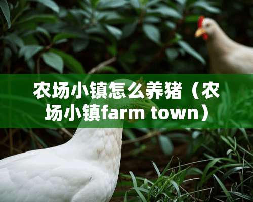 农场小镇怎么养猪（农场小镇farm town）