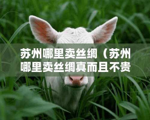 苏州哪里卖丝绸（苏州哪里卖丝绸真而且不贵）