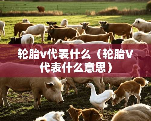 轮胎v代表什么（轮胎V代表什么意思）