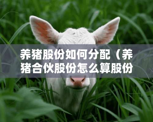 养猪股份如何分配（养猪合伙股份怎么算股份）