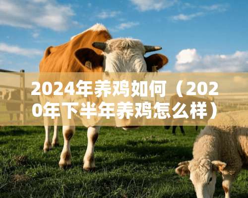 2024年养鸡如何（2020年下半年养鸡怎么样）