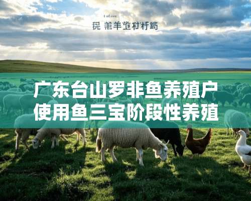 广东台山罗非鱼养殖户使用鱼三宝阶段性养殖数据展示