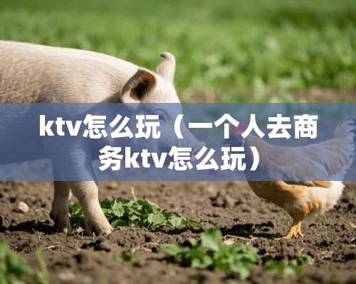 ktv怎么玩（一个人去商务ktv怎么玩）