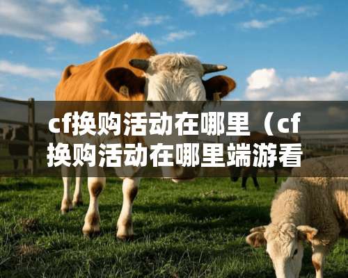 cf换购活动在哪里（cf换购活动在哪里端游看）