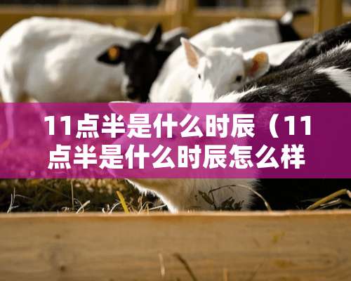 11点半是什么时辰（11点半是什么时辰怎么样）