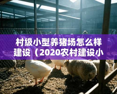 村级小型养猪场怎么样建设（2020农村建设小型养猪场流程）