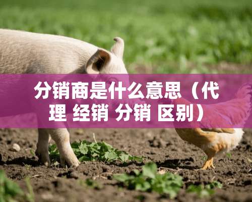 分销商是什么意思（代理 经销 分销 区别）