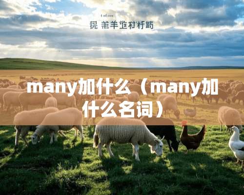 many加什么（many加什么名词）