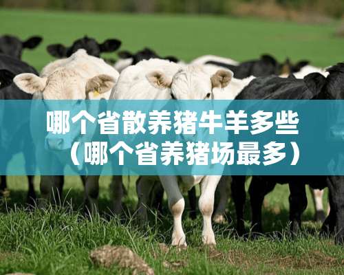 哪个省散养猪牛羊多些（哪个省养猪场最多）