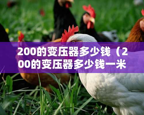 200的变压器多少钱（200的变压器多少钱一米）