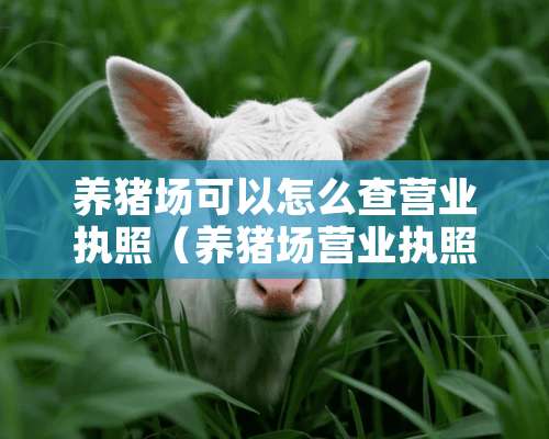 养猪场可以怎么查营业执照（养猪场营业执照办理流程）