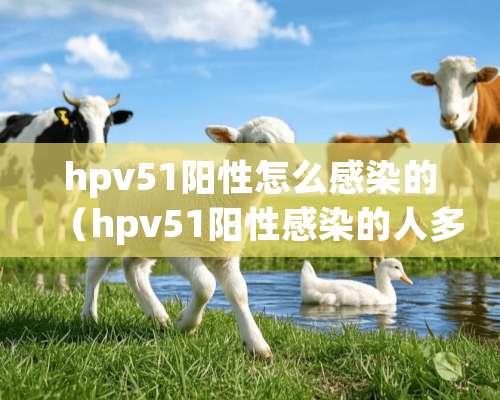 hpv51阳性怎么感染的（hpv51阳性感染的人多吗）