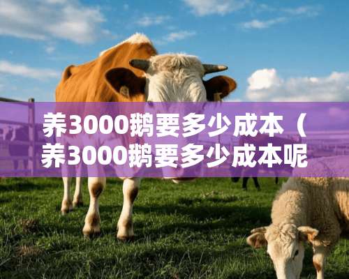 养3000鹅要多少成本（养3000鹅要多少成本呢）