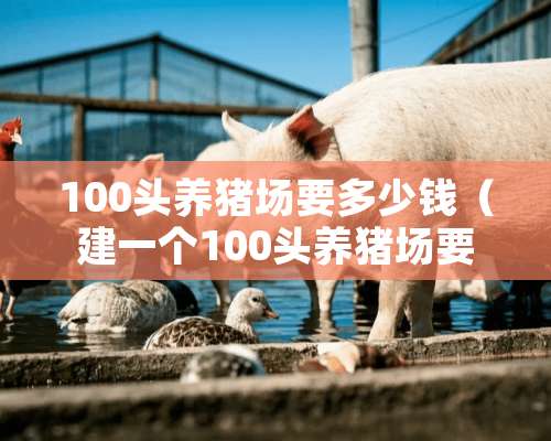 100头养猪场要多少钱（建一个100头养猪场要多少钱）