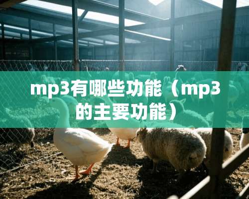 mp3有哪些功能（mp3的主要功能）