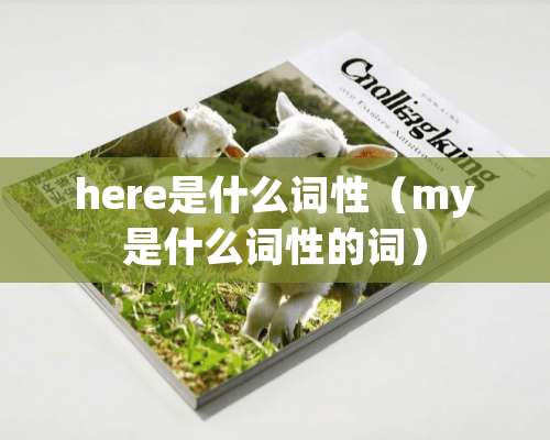 here是什么词性（my是什么词性的词）