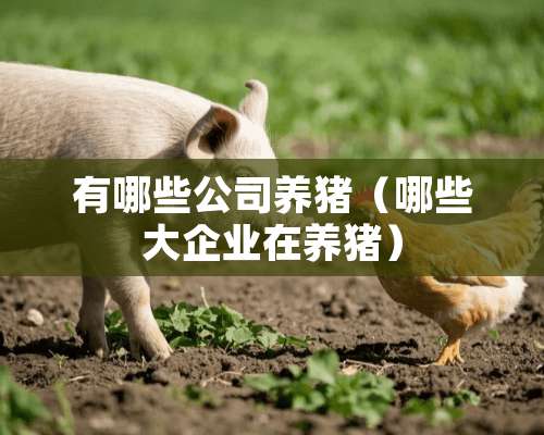 有哪些公司养猪（哪些大企业在养猪）