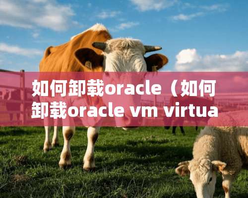 如何卸载oracle（如何卸载oracle vm virtualbox）