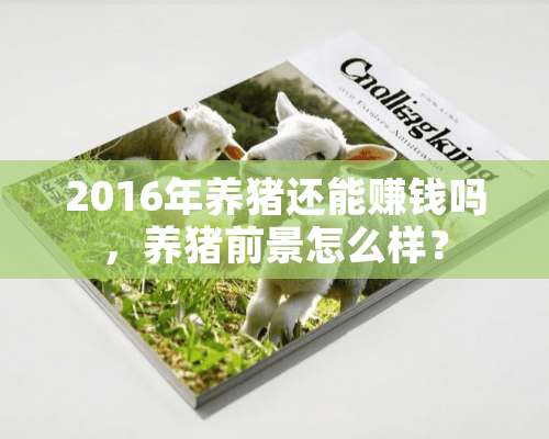 2016年养猪还能赚钱吗，养猪前景怎么样？