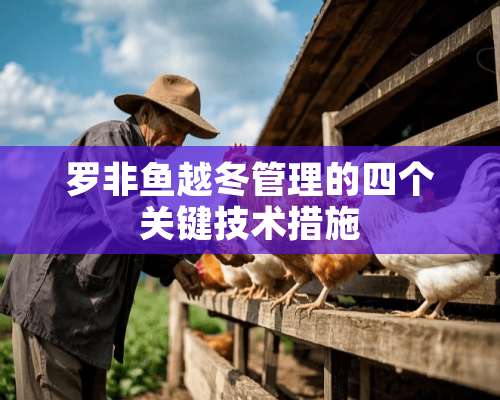 罗非鱼越冬管理的四个关键技术措施