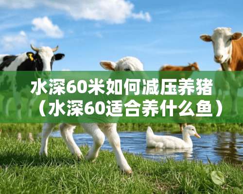 水深60米如何减压养猪（水深60适合养什么鱼）