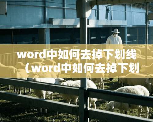 word中如何去掉下划线（word中如何去掉下划线和红色）